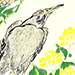 Kyosai Kawanabe Gallery
